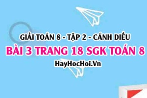 Bài 3 trang 18 Toán 8 Tập 2 Cánh Diều